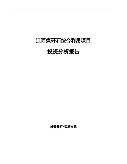 江西煤矸石综合利用项目投资分析报告
