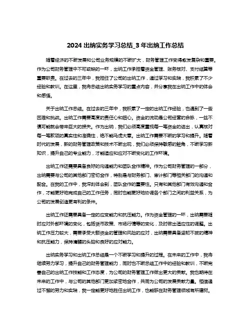 2024出纳实务学习总结_3年出纳工作总结