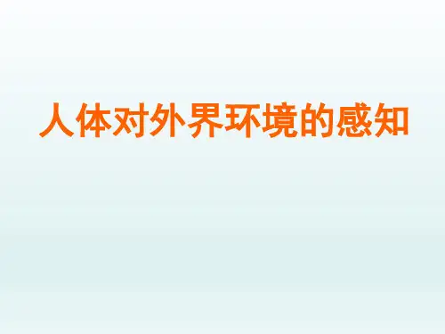 人教课标版初中七年级生物课精品PPT教学课件-人体对外界环境的感知