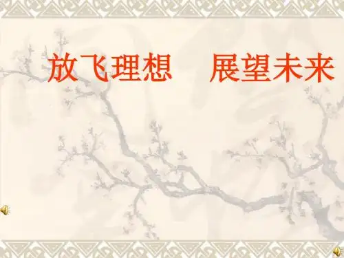 放飞理想__展望未来
