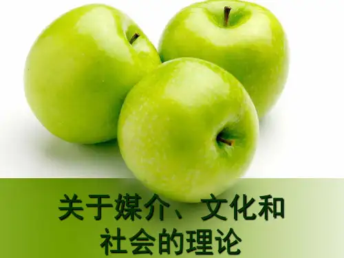 关于媒介、文化和社会的理论