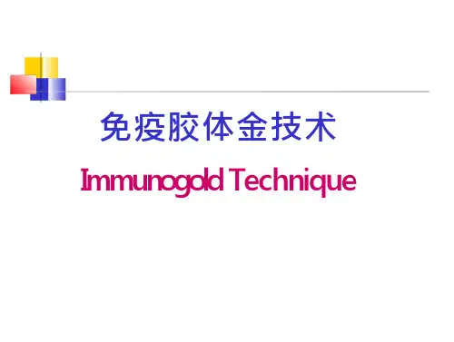 免疫胶体金的技术