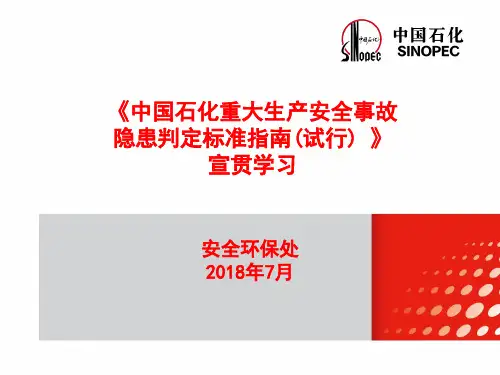 重大生产安全事故 隐患判定标准指南(试行)--学习宣贯