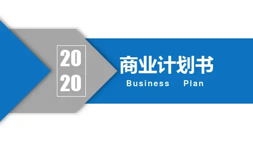 软件项目介绍PPT