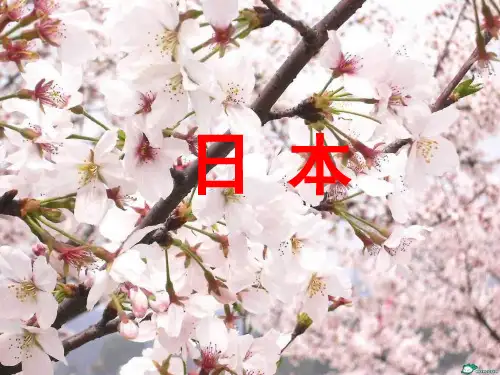 七年级地理《日本》PPT课件