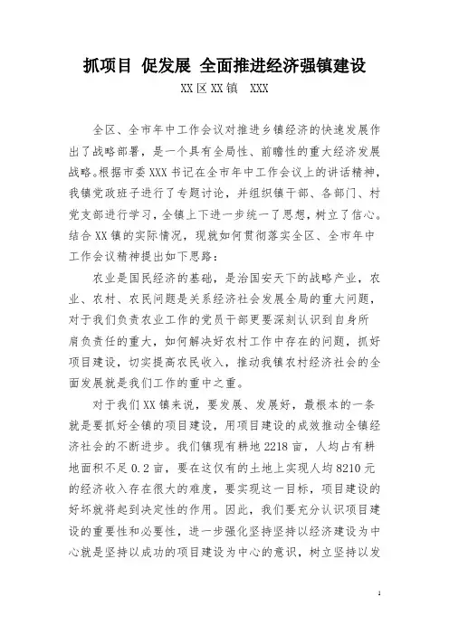 抓项目 促发展 全面推进经济强镇建设