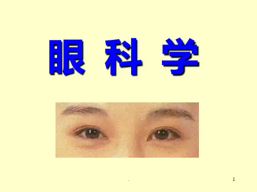 眼部解剖结构PPT课件