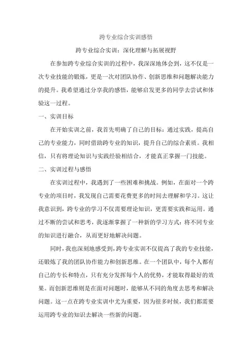 跨专业综合实训感悟
