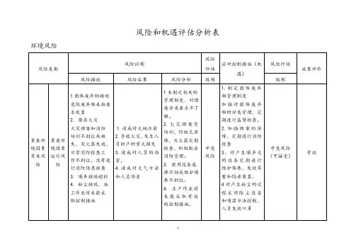 环境-风险和机遇评估分析