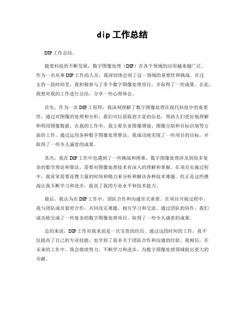 dip工作总结