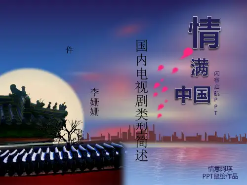 国内电视剧类型简介