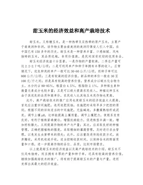 甜玉米的经济效益和高产栽培技术