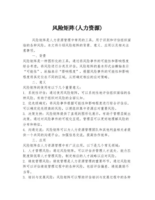 风险矩阵(人力资源)