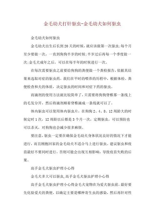 金毛幼犬打针驱虫-金毛幼犬如何驱虫