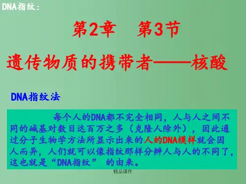 高中生物 2.3《遗传信息的携带者——核酸》新人教版必修1