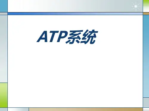 ATP系统 ppt课件