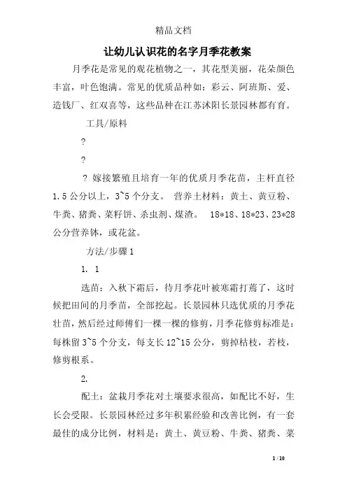 让幼儿认识花的名字月季花教案_4