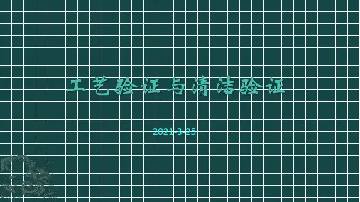 制药公司工艺验证与清洁验证