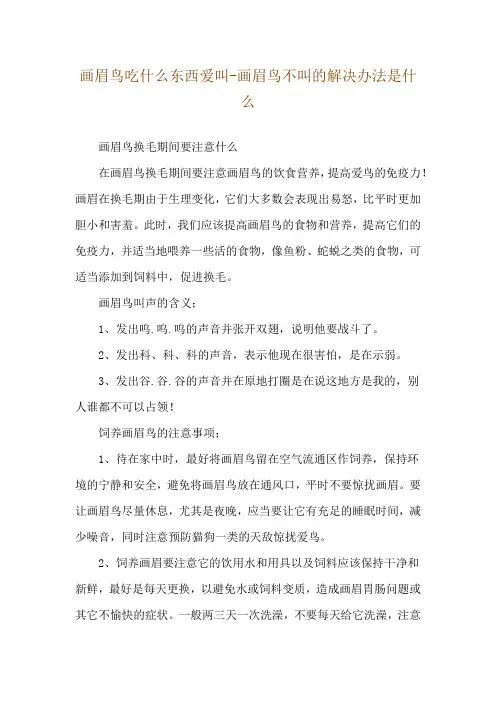 画眉鸟吃什么东西爱叫-画眉鸟不叫的解决办法是什么