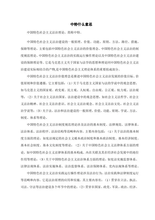 中特什么意思