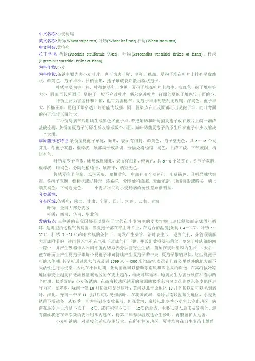 小麦锈病 