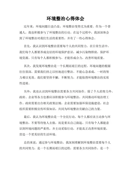 环境整治心得体会