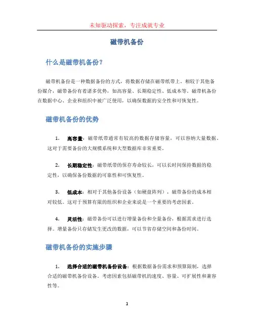 磁带机备份 (2)