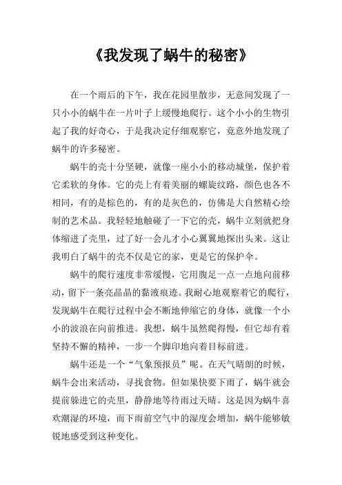 《我发现了蜗牛的秘密》