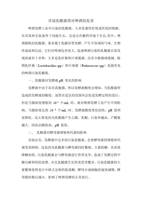 乳酸菌类对啤酒的危害