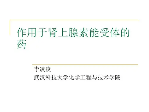 作用于肾上腺素能受体的药