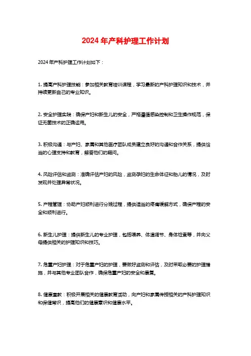 2024年产科护理工作计划
