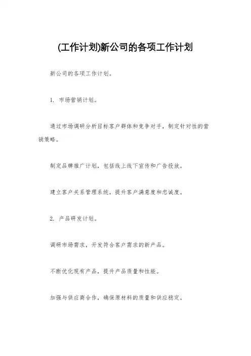 (工作计划)新公司的各项工作计划