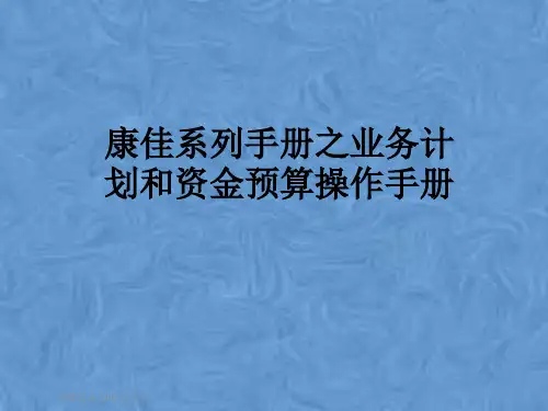 康佳系列手册之业务计划和资金预算操作手册