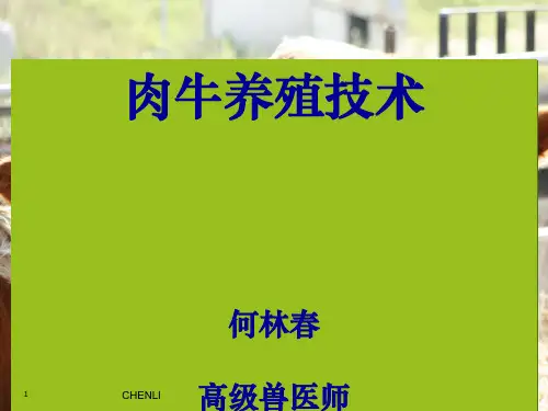 肉牛饲养管理技术(缩)PPT课件
