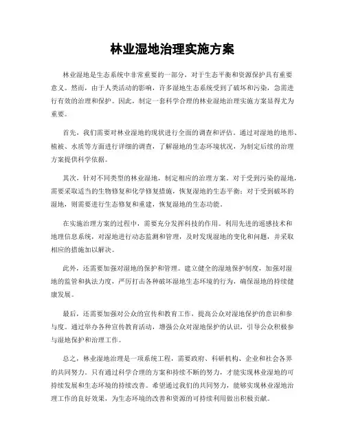 林业湿地治理实施方案