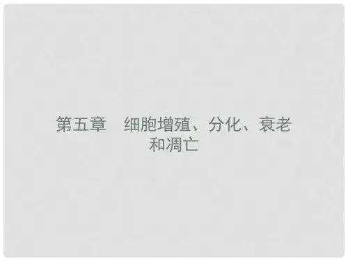 高中生物 第五章 细胞增殖、分化、衰老和凋亡 5.1 细胞增殖课件 苏教版必修1