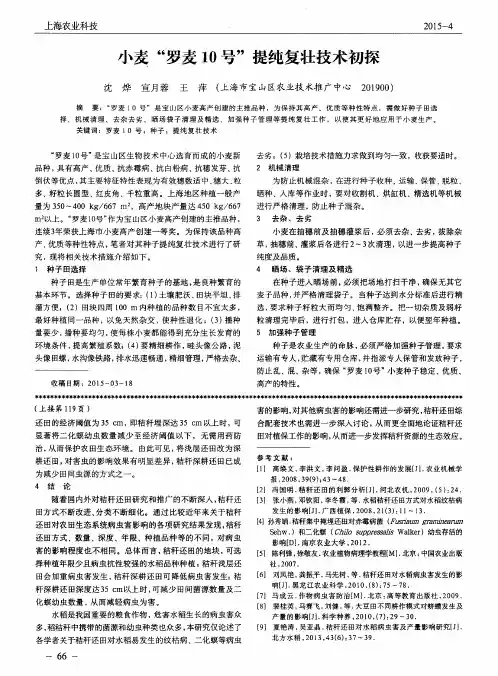 小麦“罗麦10号”提纯复壮技术初探