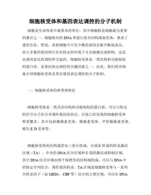 细胞核受体和基因表达调控的分子机制