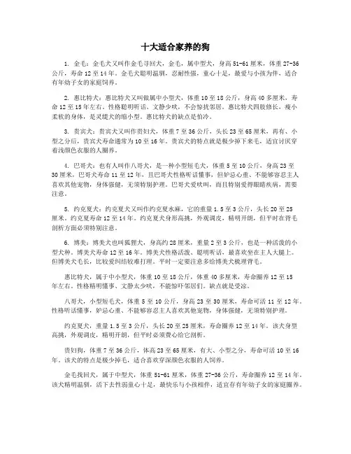 十大适合家养的狗