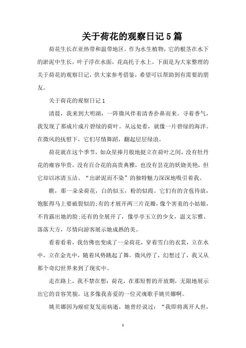 关于荷花的观察日记5篇(精编版)