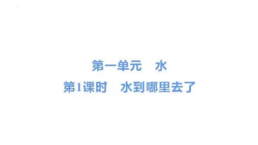 最新教科版三年级科学上册《水到哪里去了》精品教学课件