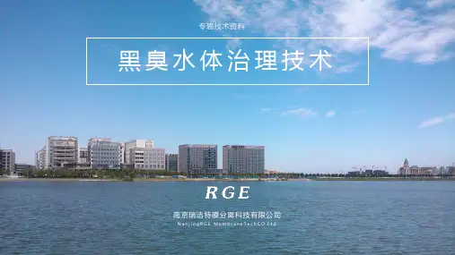 黑臭水体专项治理(南京瑞洁特)