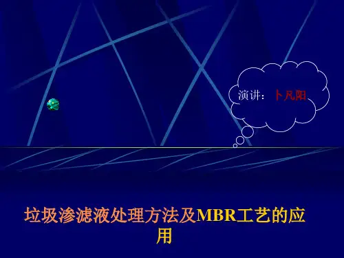 垃圾渗滤液.ppt