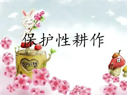 保护性耕作