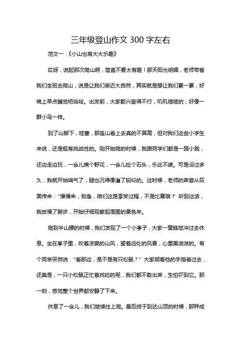 三年级登山作文300字左右