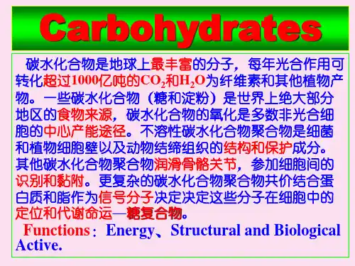 复旦大学课件糖与糖生物化学