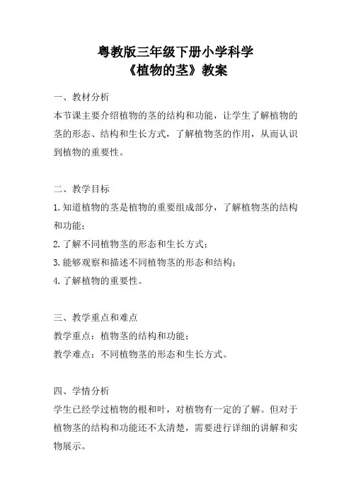 粤教版三年级下册小学科学《植物的茎》教案