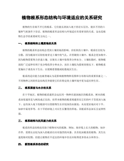 植物根系形态结构与环境适应的关系研究