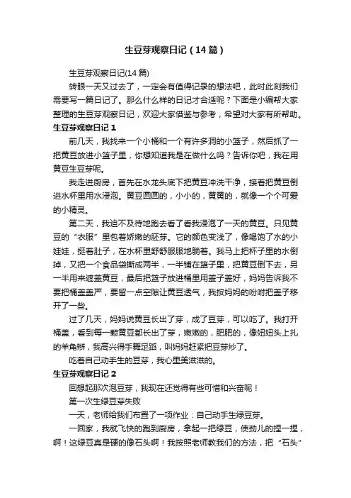 生豆芽观察日记（14篇）