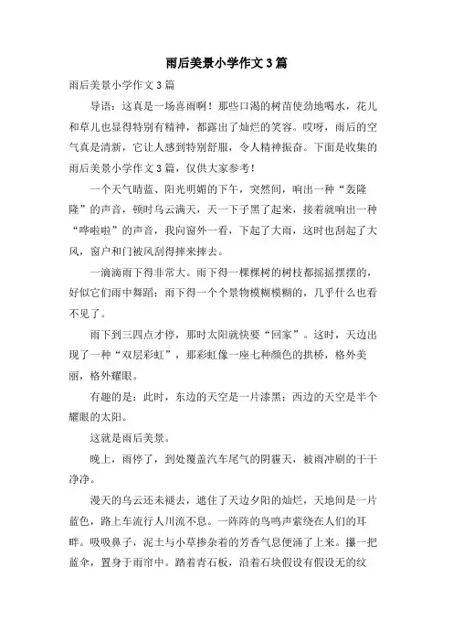雨后美景小学作文3篇